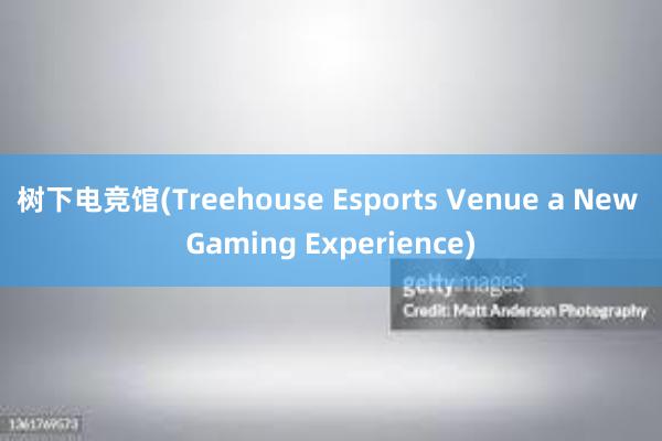 树下电竞馆(Treehouse Esports Venue a New Gaming Experience)