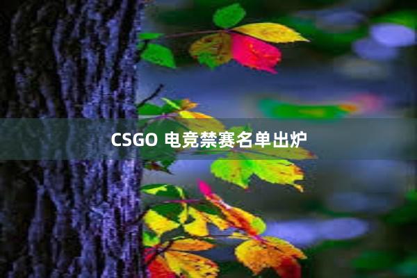CSGO 电竞禁赛名单出炉